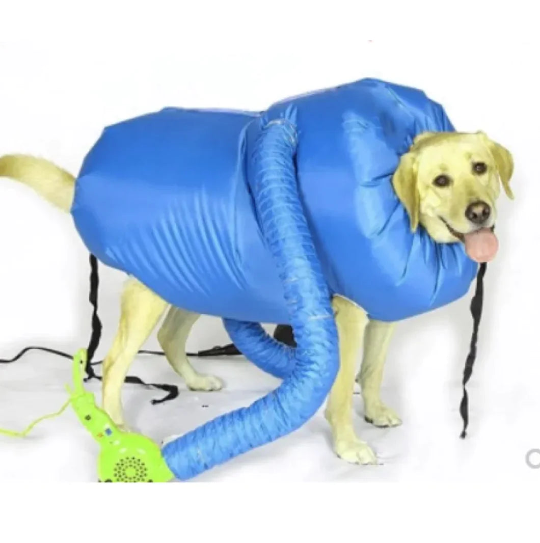Dog wearing the blue drying bag connected to a hair dryer